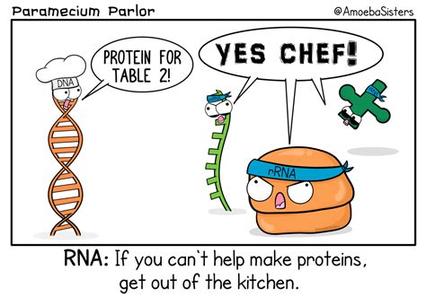 To celebrate #DNAday, we’re featuring some of our DNA comics, GIFs, and videos! DNA works with ...