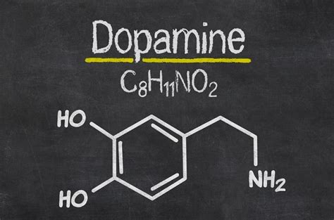 11 Easy Ways To Boost Dopamine Without Medication