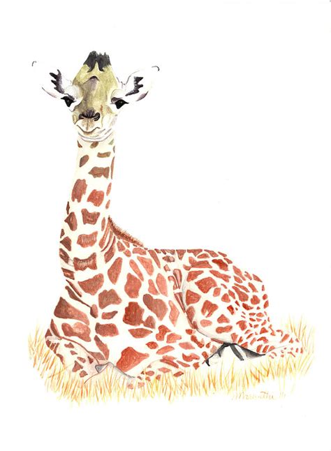 Baby Giraffe watercolor Mixed Media by Mary Doukakis-Haertel - Fine Art ...