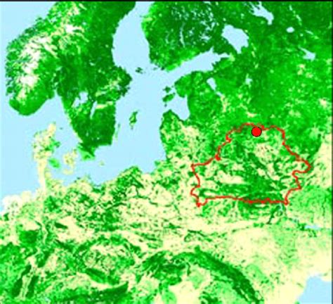 Study area in the European Forest Map (Gerasimov et al. 2010) | Download Scientific Diagram