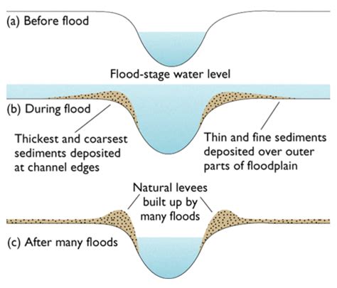 IGCSE & A-level Geography: Fluvial Landforms produced from deposition *AS and some IG courses*