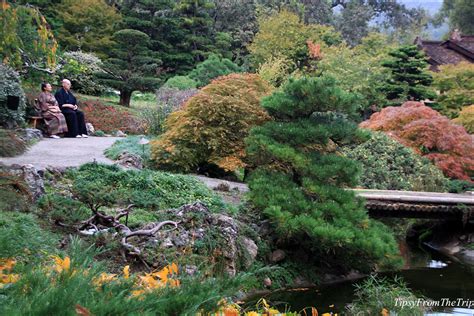 Fall color at Hakone Gardens, Saratoga | Tipsy from the TRIP