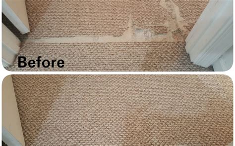 Berber Carpet Repair- Pet Damage | Maryland Carpet Repair