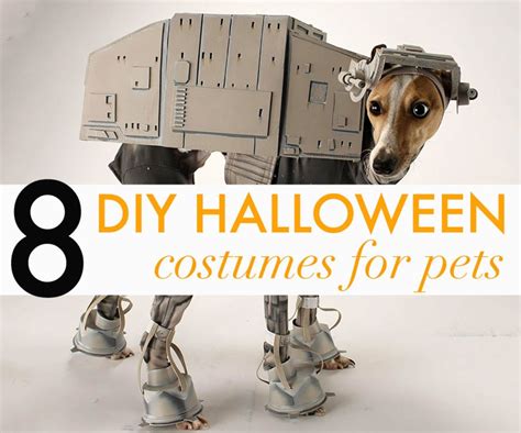 10 Adorable DIY Halloween costumes for pets