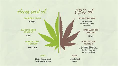 The Beginners Ultimate Guide to Hemp and CBD Oil ? – CBD.market