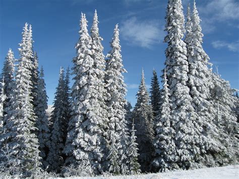 Let It Snow – Winter in Southeast Idaho Here we... | My Public Lands