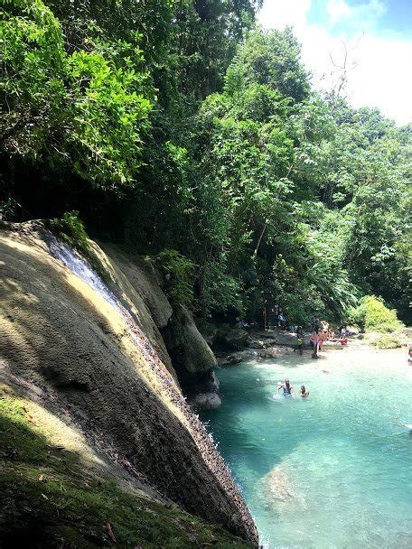 Reach Falls Jamaica - I Jumped in the Rabbit Hole!