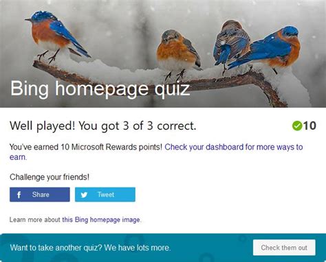 Take the Bing homepage quiz challenge! in 2021 | Challenges, Quiz, Blue bird