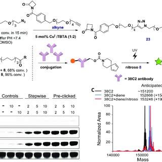 Different fluorogenic approach for protein labeling. A) Fluorogenic ...