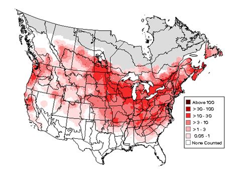 American Goldfinch - Breeding Range Map