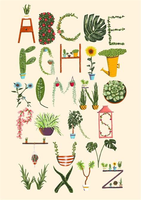 Plant Alphabet Illustration Print | Etsy | Alphabet illustration, Illustration print, Hand ...