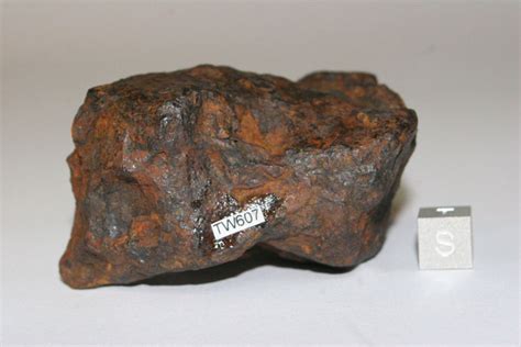 TW607 - Twannberg Meteorite No. 607. For sale now.