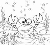 Cute Crab Coloring Pages sketch template
