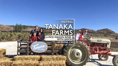 Tanaka Farms U-Pick Wagon Ride Tour With Kids Montage - YouTube