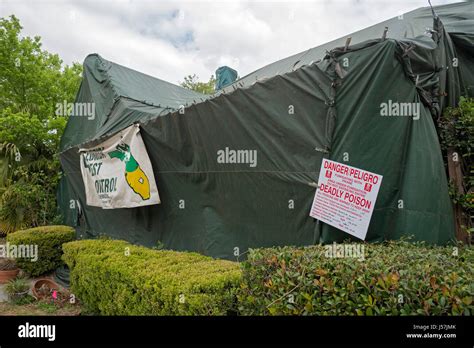 Tent fumigation of home Stock Photo - Alamy