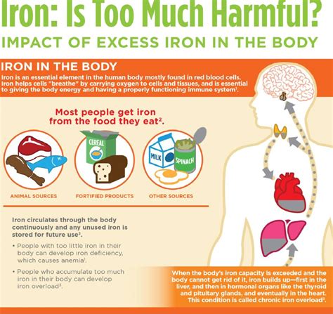 Iron: Is Too Much Harmful? (Infographic) | BlackDoctor.org - Where Wellness & Culture Connect