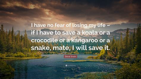 Steve Irwin Quote: “I have no fear of losing my life – if I have to save a koala or a crocodile ...