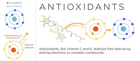 How Do Antioxidants Work? – Miosuperhealth