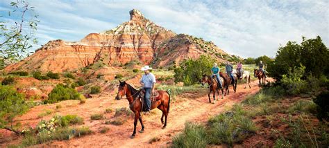 TPWD debuts interactive maps of best Texas road trips for nature lovers