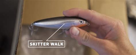 Rapala Skitter Walk Lure - The Delivery Series | BDoutdoors