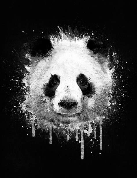 Cool Abstract Graffiti Watercolor Panda Portrait In Black And White ...