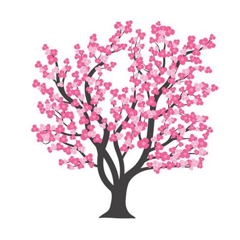 Cherry blossom Tree in Vector illustration 537161 Vector Art at Vecteezy