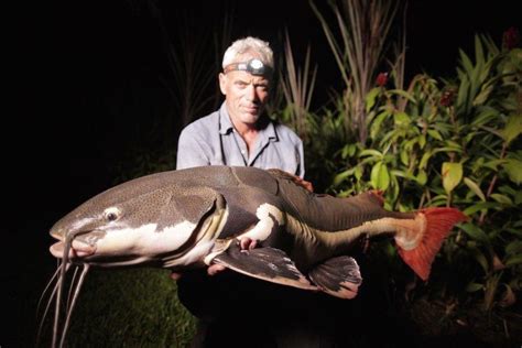 Man-Eaters And Monsters: The 15 Weirdest River Fish Ever Caught