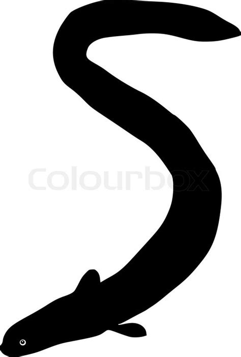 Silhouette of eel | Stock Vector | Colourbox