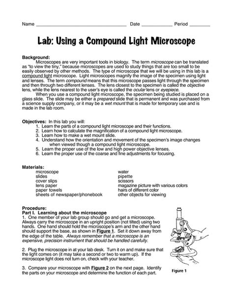 BIOLOGY USING MICROSCOPE LAB | PDF