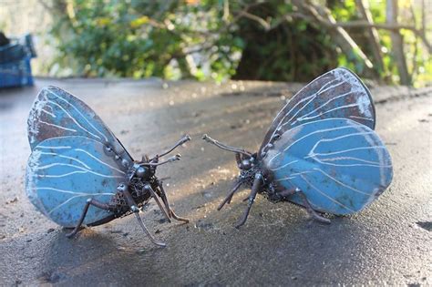 This Artist Turns Scrap Metal Into Incredible Animal Sculptures