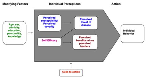 The Health Belief Model Visit the website for more information on this! | Health belief model ...