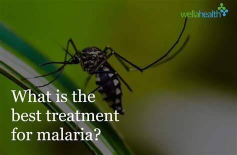 What is the best treatment for malaria? - WellaHealth