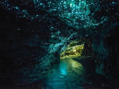 Glowworm Caves: Waitomo, New Zealand : r/newzealand