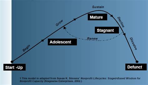 Organizational Life Cycle Stages | NH Center for Nonprofits | Life cycle stages, Life cycles ...