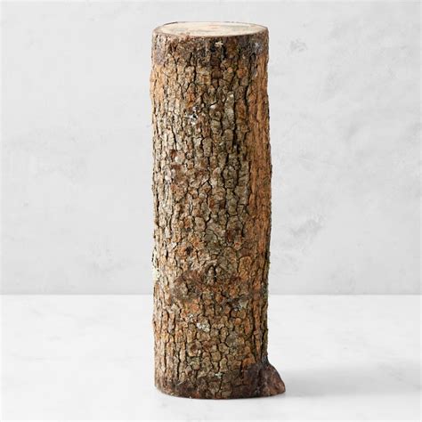 Shiitake Mushroom Log Kit | Mushroom Growing Kit | Williams Sonoma