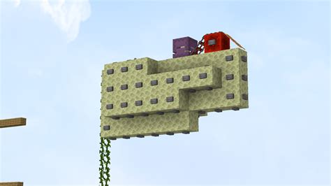 Shulker not tping into the Shulker Farm in 1.18 : r/Minecraft