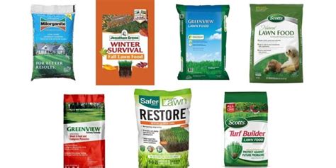 Top 10 Best Lawn Fertilizer In 2023