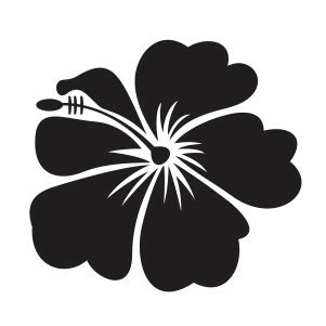 Buy Hawaii Flower Svg Png online in USA