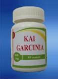 Garcinia Capsules at best price in Kolkata by Nurisure Wellness | ID: 10448742873