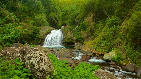 Vacation Homes near Blue and John Crow Mountains National Park, Jamaica ...