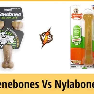 Benebone vs. Nylabone, What Is The Difference? (Dog Owner's Guide ...