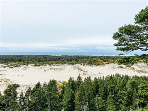 Oregon Coast Sand Dunes: The Ultimate Visitor's Guide