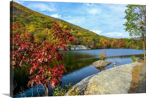 Fall Foliage in Bear Mountain II | Great Big Canvas