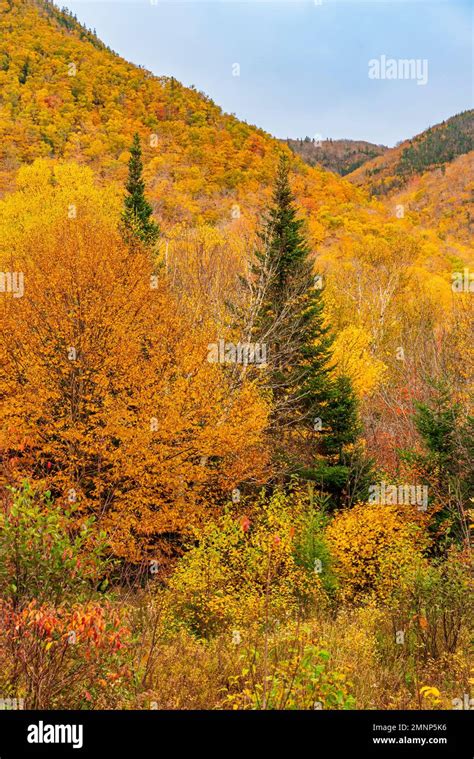 Fall foliage color along the Cabot Trail, Cape Brreton Island, Nova ...