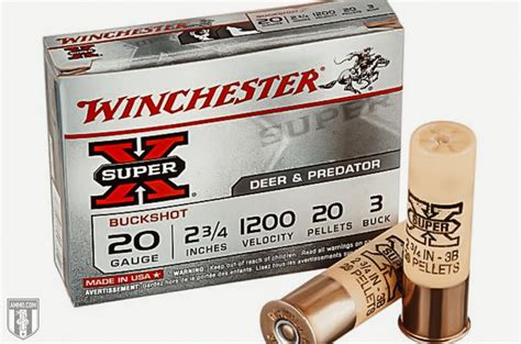 Best 20 Gauge Ammo Recommended by Experts at Ammo.com