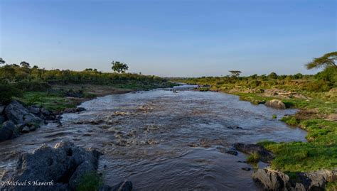 Masai Mara: along the Mara river | Howie's Wildlife Images