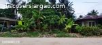 Discover Siargao Philippines - Property for sale in Siargao