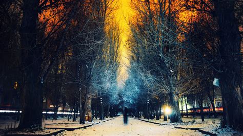 winter 4k Ultra HD Wallpaper and Background Image | 3840x2160 | ID:463408