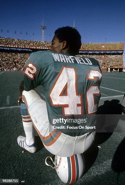 79 Miami Dolphins Paul Warfield Photos & High Res Pictures - Getty Images