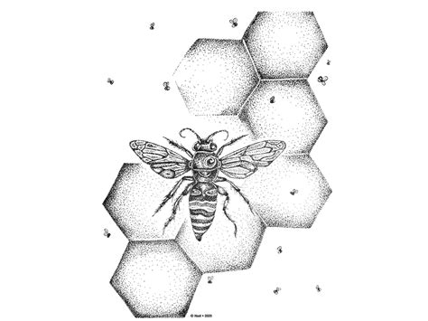 Pen and ink stipple illustration of bees and honeycomb by Jen Borror ...